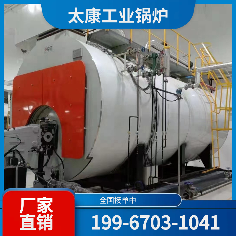 郴州生物质导热油锅炉