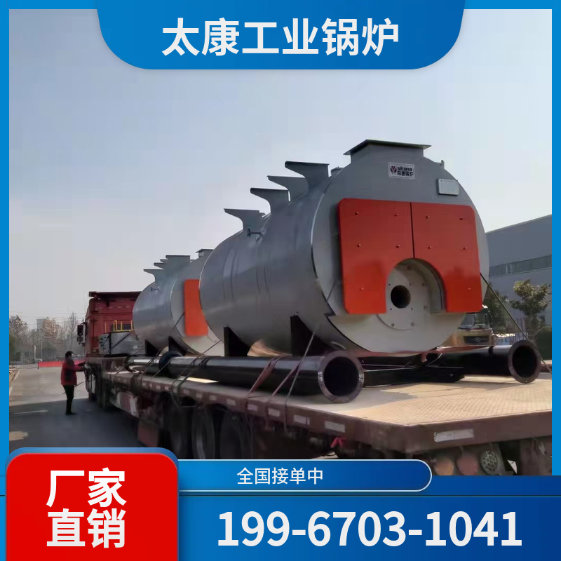 郴州沼气锅炉